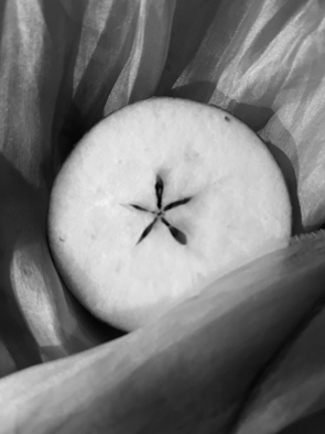 %C3%84pple%20pentagrHS